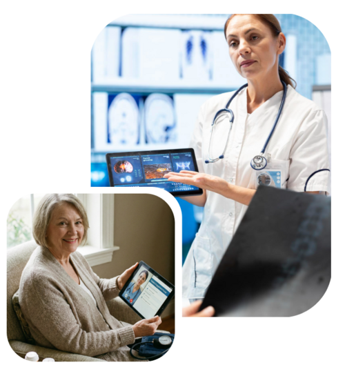 Briea Hospital Software Vendors integration